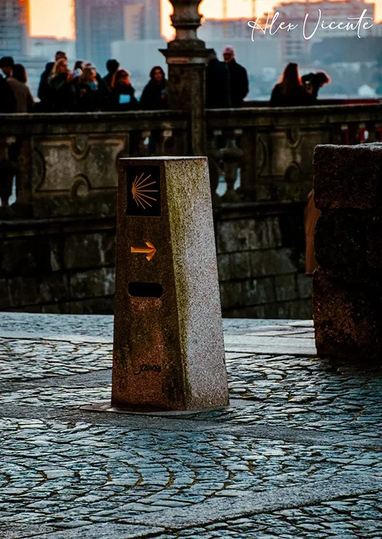 A golden Camino de Santiago marker set in city cobbles.