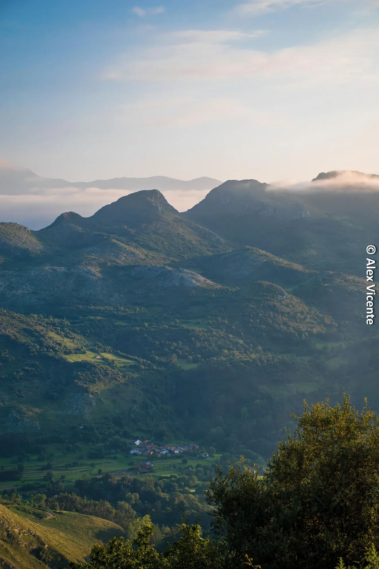 A valley with forest, red roofs and mountains.