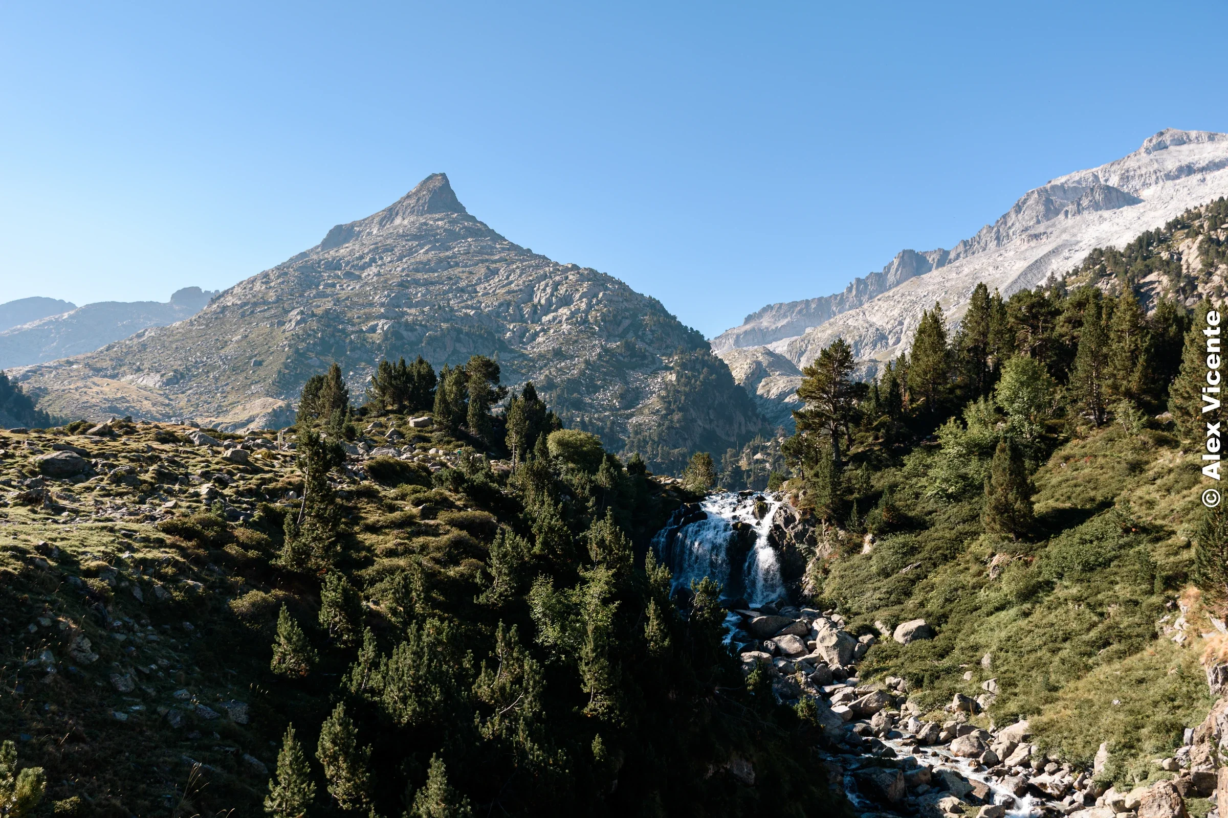 A sharp mountain peak above a rocky stream and pine forest.