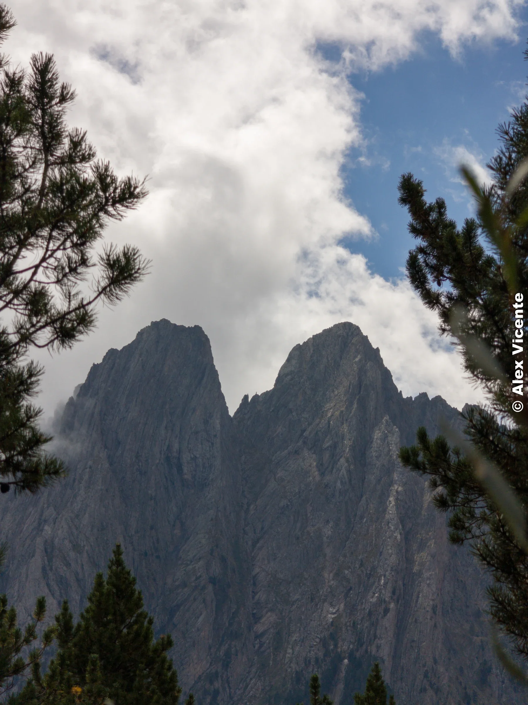 Two jagged rock needles rising above a pine forest.